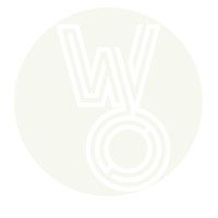 Whiteout Networks