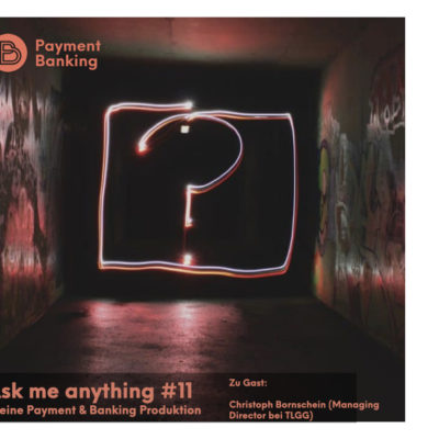 Payment & Banking Fintech P... Cover